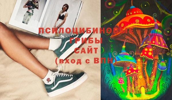 дживик Абаза