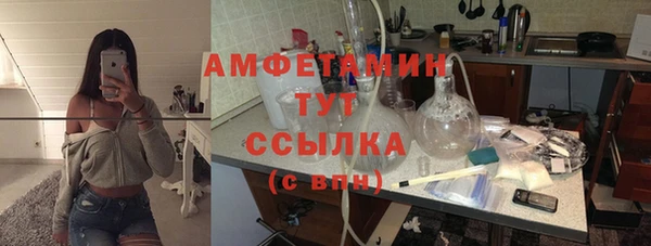 ГАЛЛЮЦИНОГЕННЫЕ ГРИБЫ Алзамай