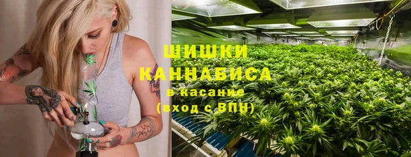 ГАЛЛЮЦИНОГЕННЫЕ ГРИБЫ Алзамай